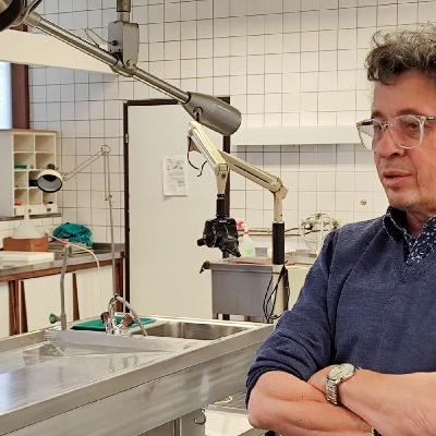 Philippe Boxho : son regard sur la mort et sur le Saint Suaire