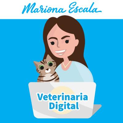 T2 E3: Brucelosis ovina caprina, videovigilancia mataderos y rinoneumonitis equina - Noticiero Veterinario