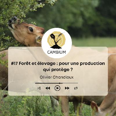 #17 - Forêt et élevage : pour une production qui protège ?