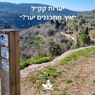 ?יערות קק״ל-איך מתכננים יער