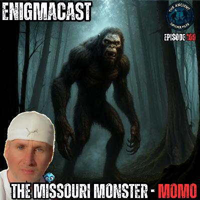 Is Bigfoot in Missouri? MoMo Sightings Explained!
