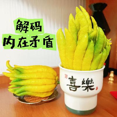 19. 从 “烦死人” 到 “好可怜”，我从《地下室手记》里看懂了自己的矛盾