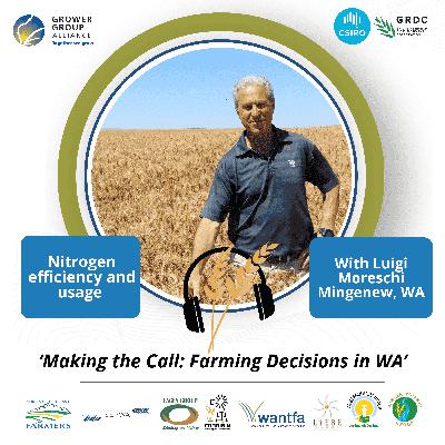 Making the Call, Farming Decisions in WA series: MIG chats Nitrogen use with Luigi Moreschi, Mingenew Making the Call, Farming Decisions in WA series: MIG chats Nitrogen use with Luigi Moreschi, Mingenew