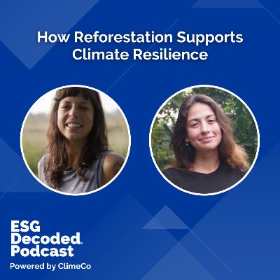 How Reforestation Supports Climate Resilience | ESG Decoded Podcast #157