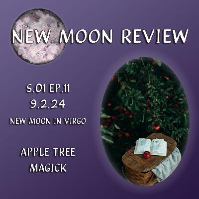 RERELEASE | S1, Ep 11: Apple Tree Magick, September's New Moon in Virgo ♍️🌑 RERELEASE | S1, Ep 11: Apple Tree Magick, September's New Moon in Virgo ♍️🌑