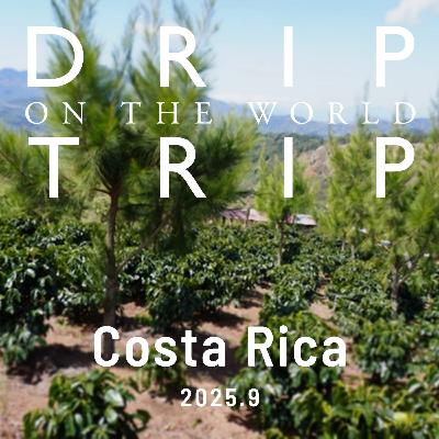 DRIP TRIP通信 vol.57 【2025.9】 Costa Rica編