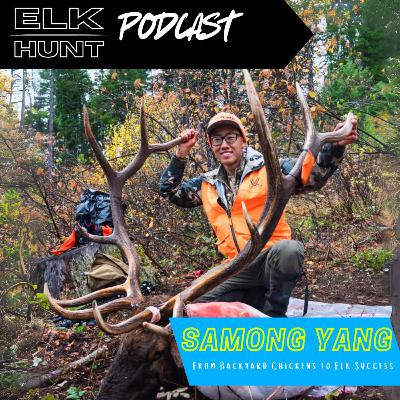 Elk Hunting Myths Debunked: What You Really Need to Know