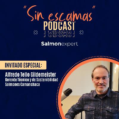 Cap 18 / Temp 2: Alfredo Tello, Gerente Técnico y de Sostenibilidad de Salmones Camanchaca