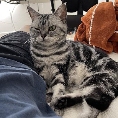 最近看了啥电影 aka 末末破防实录 最近看了啥电影 aka 末末破防实录