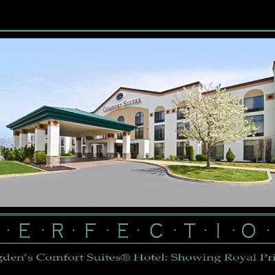39-KRHS | The Alumni Network of the Roy High Royals® | Comfort Suites®-Ogden and Cactus Reds® 39-KRHS | The Alumni Network of the Roy High Royals® | Comfort Suites®-Ogden and Cactus Reds®