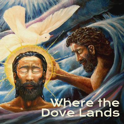 Ryan Post - "Where the Dove Lands"