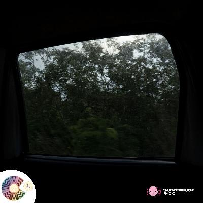 Vida y milagros - El podcast de Bernal Vida y milagros - El podcast de Bernal