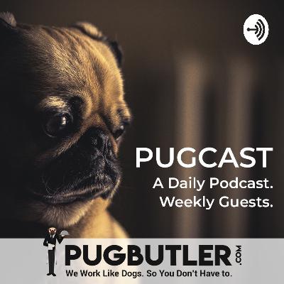PugCast - The Daily Guide To Online Success (Trailer)