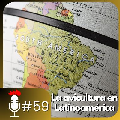 🎙️ La AVICULTURA en LATINOAMÉRICA | Podcast #59 🎙️ La AVICULTURA en LATINOAMÉRICA | Podcast #59