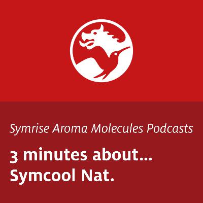 3 minutes about… - Symcool Nat.