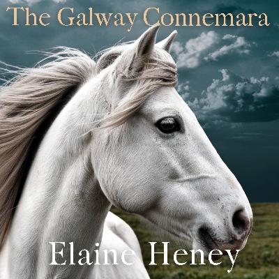 The Galway Connemara - Part 6 of 6