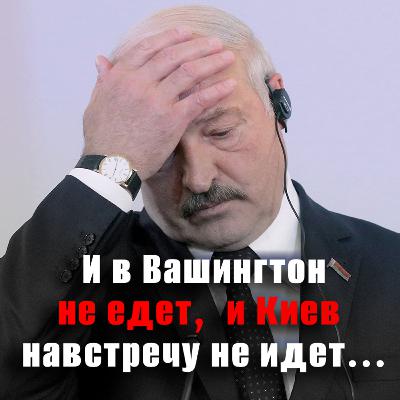 Черная полоса для Лукашенко: синдром 19 февраля и санкции от Украины. Апдейт случился Черная полоса для Лукашенко: синдром 19 февраля и санкции от Украины. Апдейт случился