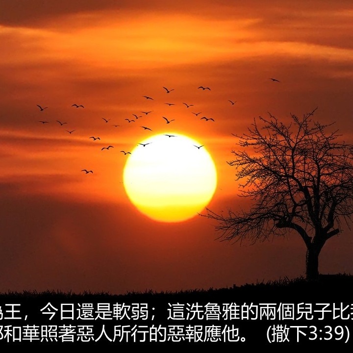 撒下3(22-39)