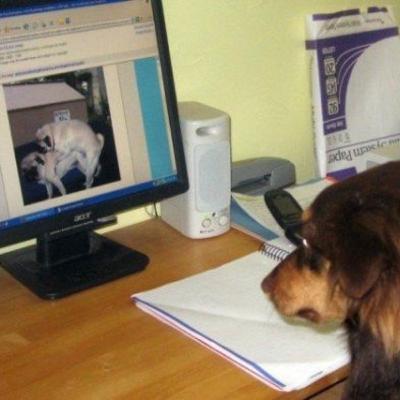 The Bowsy Wowsy episode