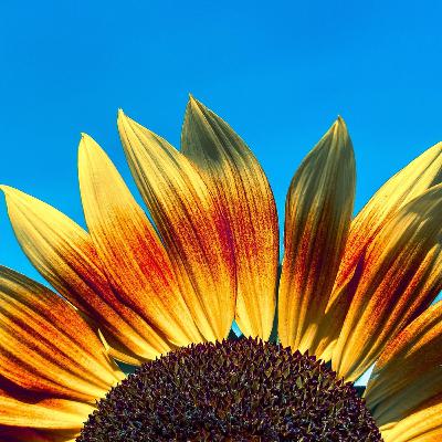 Un'anima che soffre Un'anima che soffre