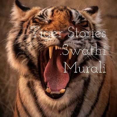Tigers Stories
