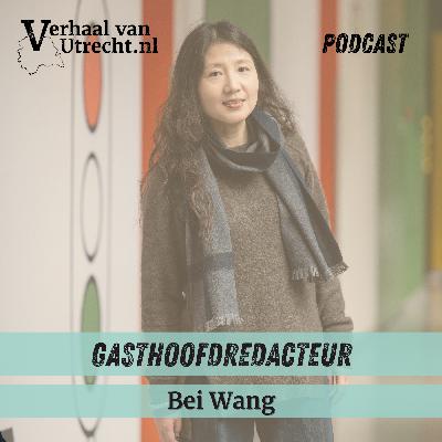 Gasthoofdredacteur Bei Wang over Chinees erfgoed Gasthoofdredacteur Bei Wang over Chinees erfgoed