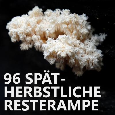 #96 Spätherbstliche Resterampe