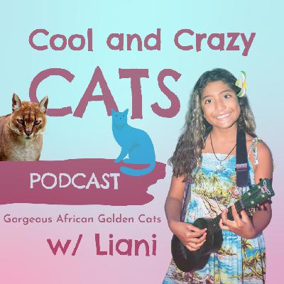 Gorgeous African Golden Cats