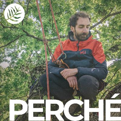 Perché : L'ascension - Ep 1/7