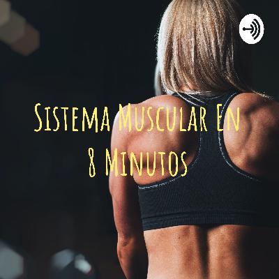 Sistema muscular en 8 minutos Sistema muscular en 8 minutos