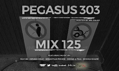 House & Tech House Podcast | Pegasus 303 Mix 125