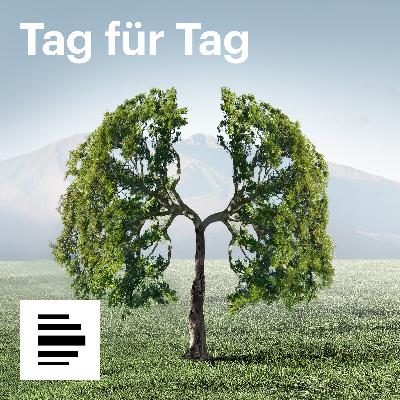 Literatur und Religion: Schriftstellerin Nora Bossong sucht die Kontemplation