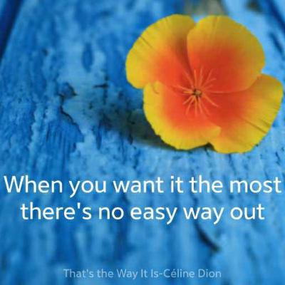 Ketika Mundur Bukan Opsi