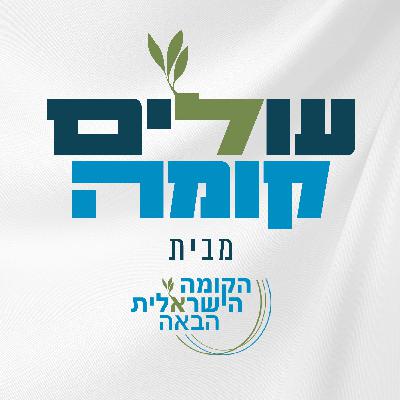 24- לבחור להשפיע | טל מאיר 24- לבחור להשפיע | טל מאיר