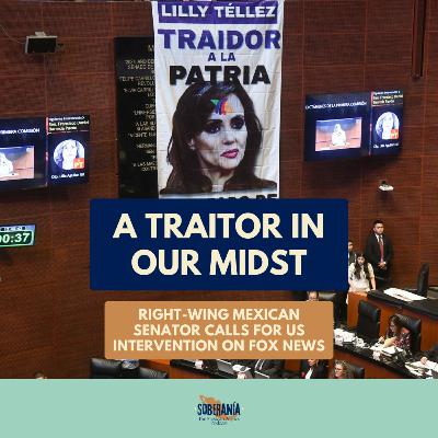 A Traitor In Our Midst: Right-wing Mexican Senator Calls for US Intervention on Fox News