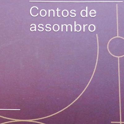 Nos caminhos do assombro (sobre coletâneas e conceitos)
