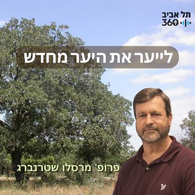 לייער את היער מחדש לייער את היער מחדש