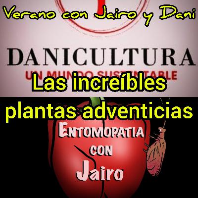 Verano con Jairo y Dani. Las increíbles plantas adventicias