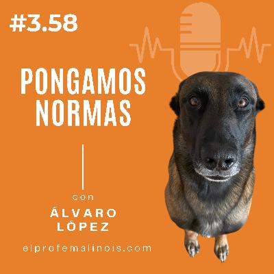 3.58 Los límites hacen feliz a tu perro (y aquí te explico por qué)