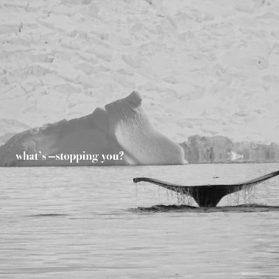 WHATS —STOPPING YOU?