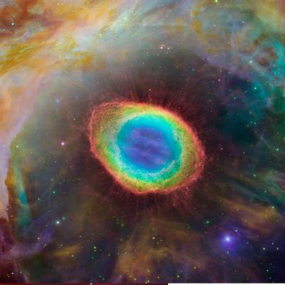 Vibralisation - Créateur et Création