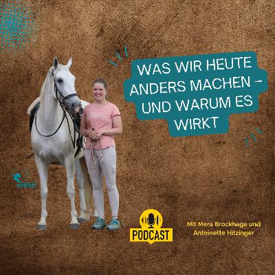 Was wir heute anders machen – und warum das für dein Pferd alles verändert