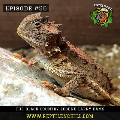 Black country lizard king, Larry Dams - 96 Reptile n Chill Black country lizard king, Larry Dams - 96 Reptile n Chill