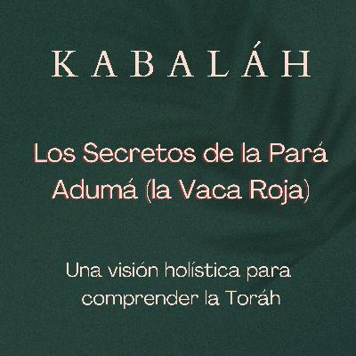 #kabalah - Session 92 - Los Secretos de la Pará Adumá (la Vaca Roja)