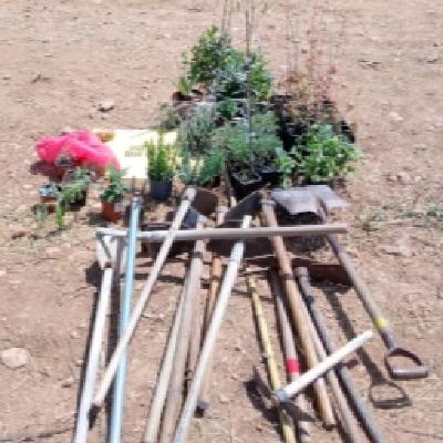 144. Algunas reflexiones sobre las revueltas y sublevaciones en defensa del territorio 144. Algunas reflexiones sobre las revueltas y sublevaciones en defensa del territorio