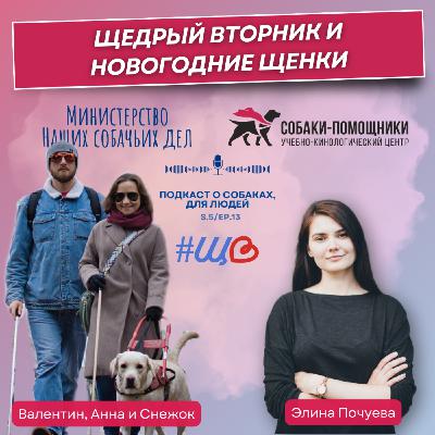 #Щедрыйвторник и Новогодние щенки