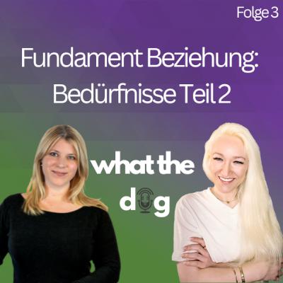#3 Fundament Beziehung: Bedürfnisse Teil 2