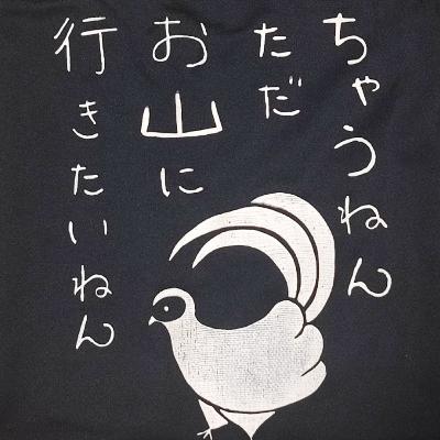 #034　買ってよかった！ちまくま名品選