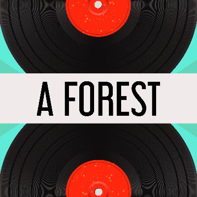 16. A Forest 16. A Forest