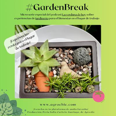 xGB3. Esta experiencia contribuirá a que tu equipo desarrolle nuevas perspectivas. Conoce aquí detalles del proyecto birdview garden.